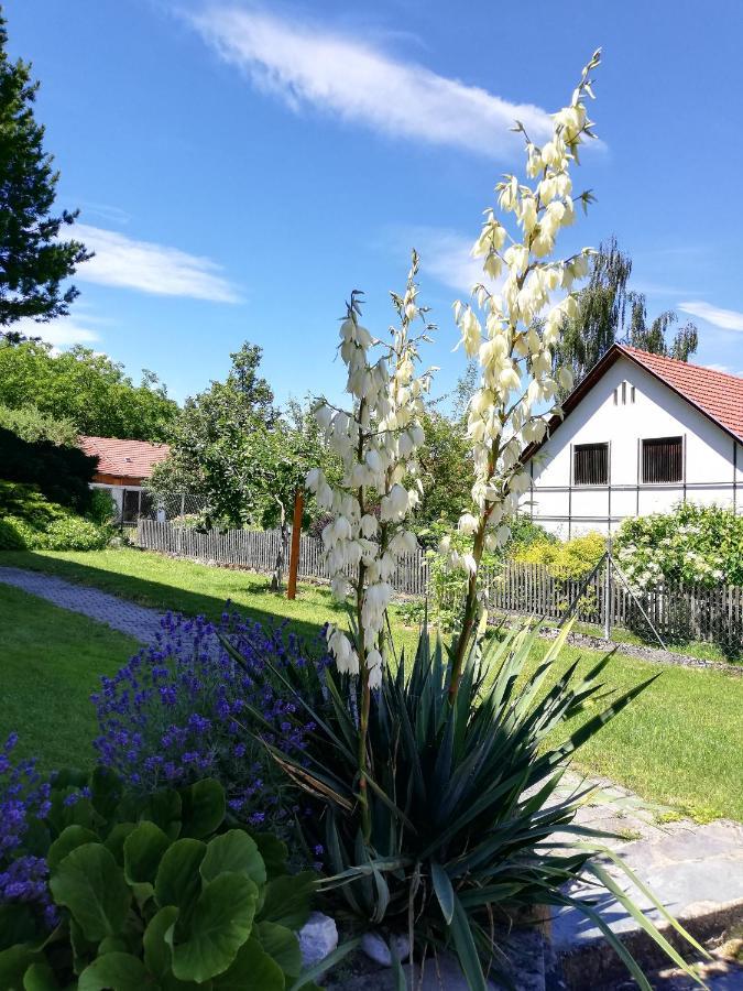 Ferienwohnung Bliem 菲尔德茵卡特 外观 照片